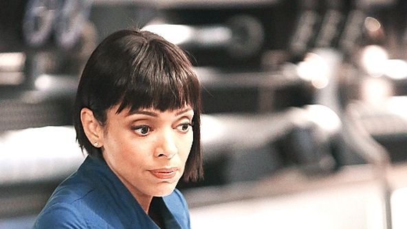 Sběratelé kostí IX (11)