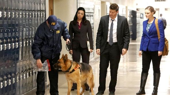 Sběratelé kostí X (12)