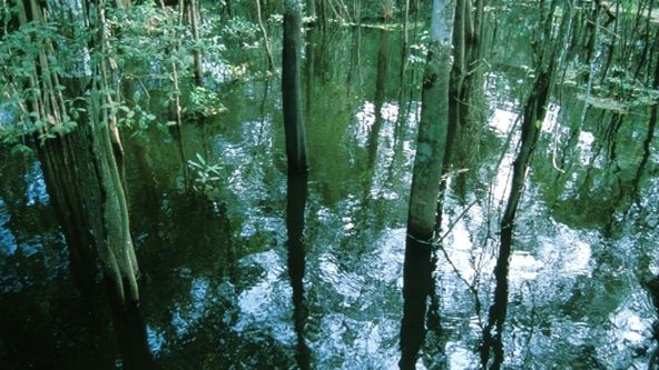 Směr rovník: Řeky slunce (3/6)