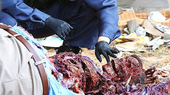 Sběratelé kostí X (3)