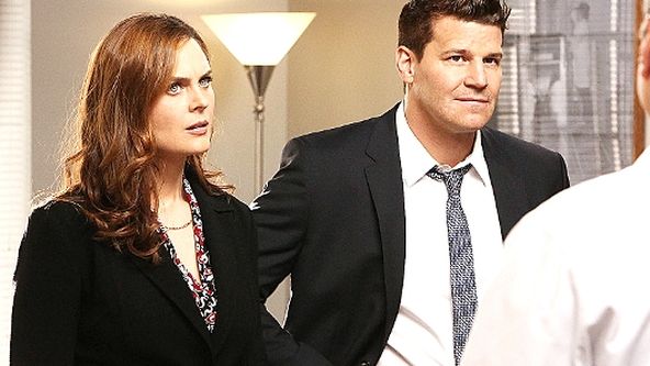 Sběratelé kostí IX (21)