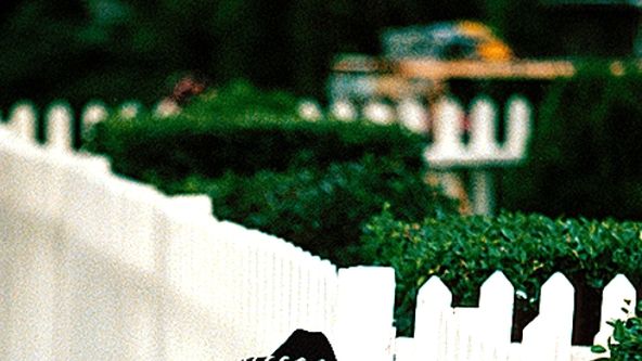 Dennis postrach okolí znovu zasahuje