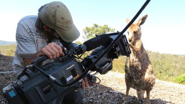 Záchrana zvířecích sirotků (3/3)
