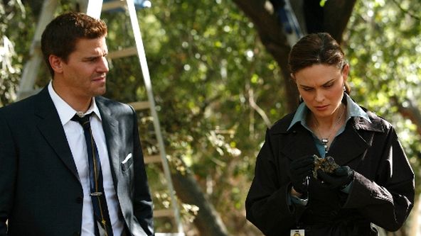 Sběratelé kostí IV (11)