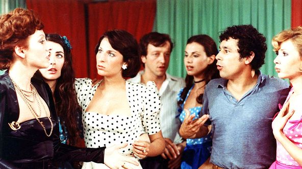 Stepující stonožka