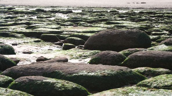 Opravdu potřebujeme měsíc?