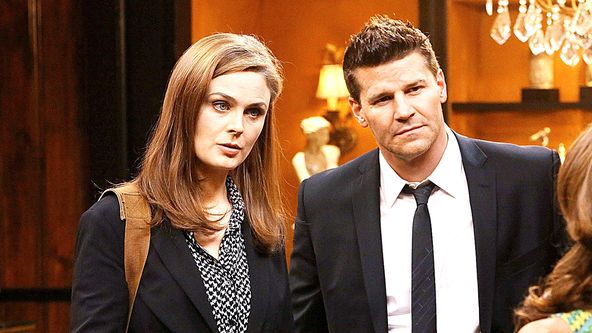 Sběratelé kostí IX (19)