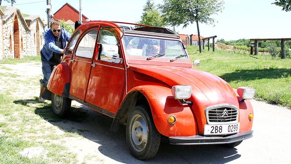 2Bobule