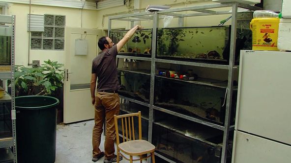 Příběhy zvědavých přírodovědců (6/10)