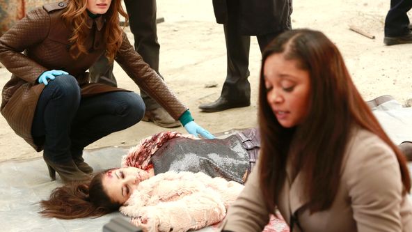 Castle na zabití V (11)