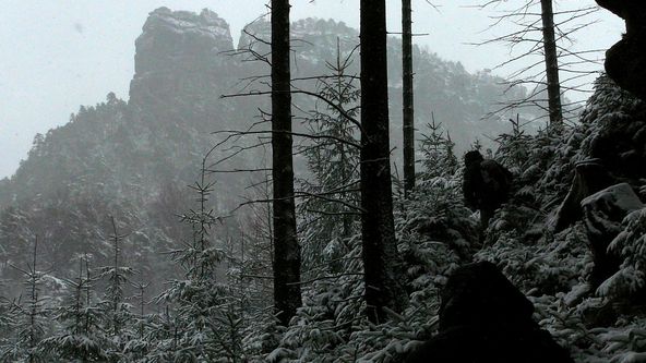 Návraty k divočině (2)