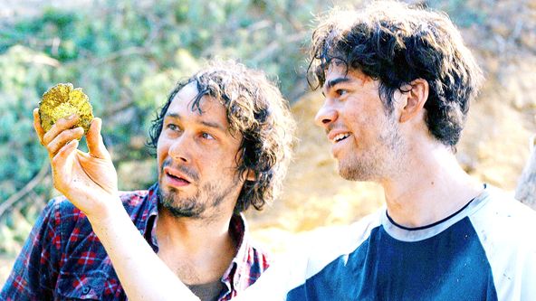 Zloději zelených koní