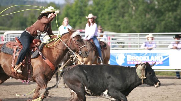 Ranč Heartland IV (7)