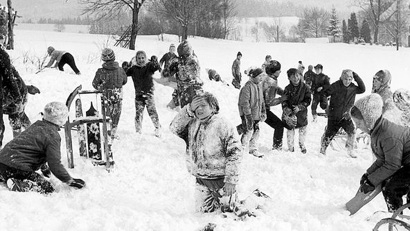 Lišáci, Myšáci a Šibeničák