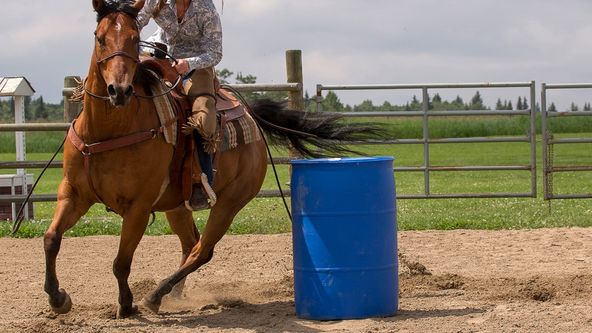 Ranč Heartland VII (8)