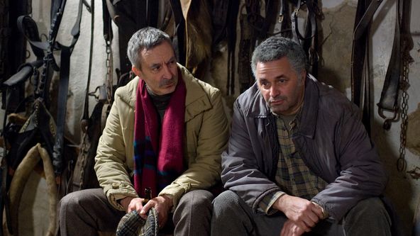 Zdivočelá země (36/45)