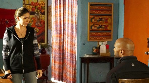 Agenti S.H.I.E.L.D. III (11)