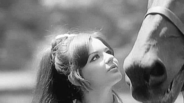 Čas slunce a růží