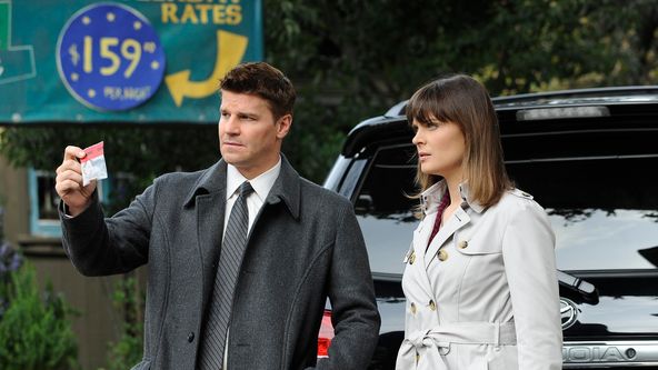 Sběratelé kostí VI (18)