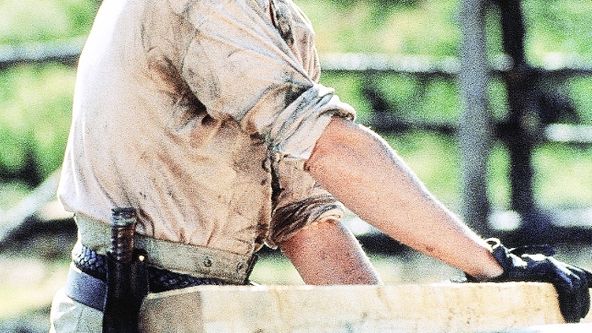 Černý lišák: Cena za mír