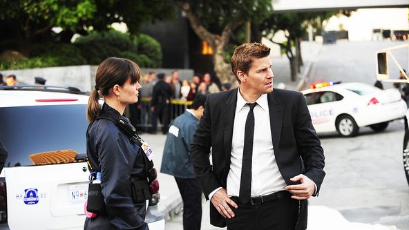 Sběratelé kostí VI (11)