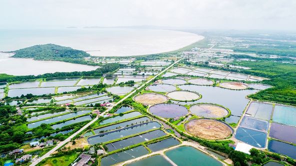 Kamera na cestách: Podivuhodné Thajsko (1/2)