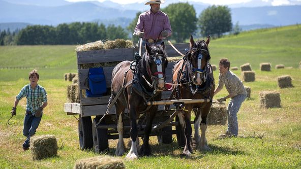 Ranč Heartland VII (5)
