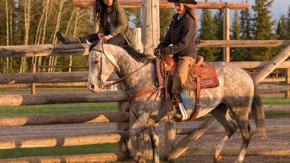 Ranč Heartland VII (2)