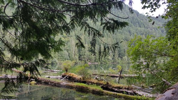 Na cestě po jihozápadě Britské Kolumbie