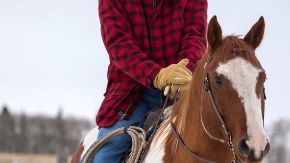 Ranč Heartland VII (16)