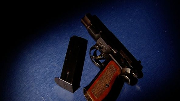 Zašlapané projekty