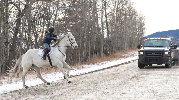 Ranč Heartland VI (17)