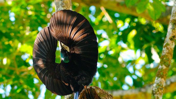 Oázy poslední naděje (5)