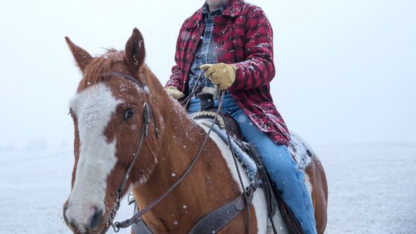 Ranč Heartland VI (18)