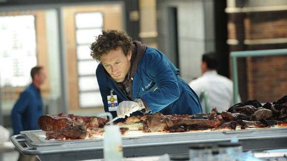 Sběratelé kostí VII (8)