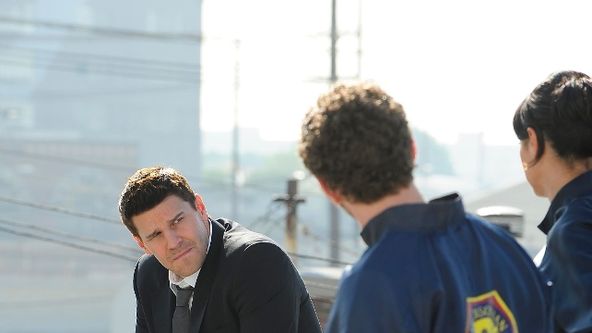 Sběratelé kostí VI (13)