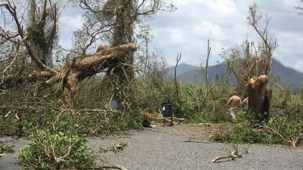 Jenny, doktorka letounů