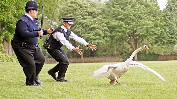 Jednotka příliš rychlého nasazení