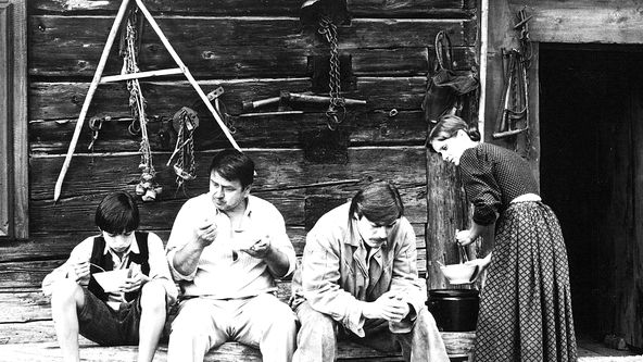 Stíny horkého léta