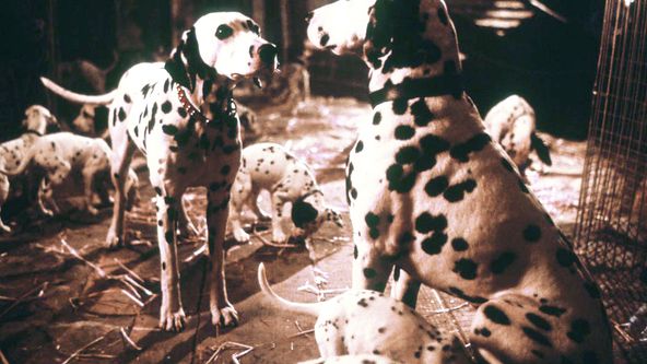 101 dalmatinů