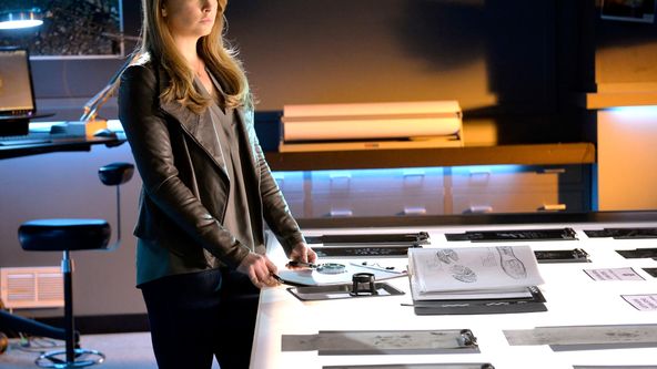 Kriminálka Las Vegas XV (15)