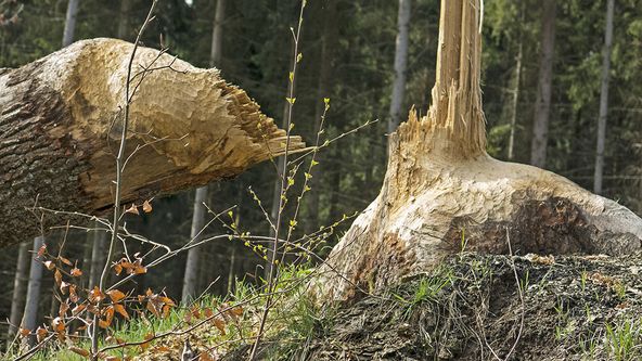 Co se děje kolem nás?