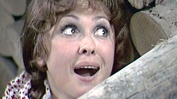 Švec Janek v pohádkové zemi