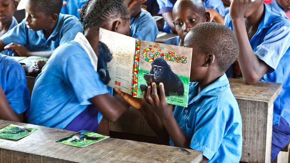 Gorily mezi Prahou a Afrikou