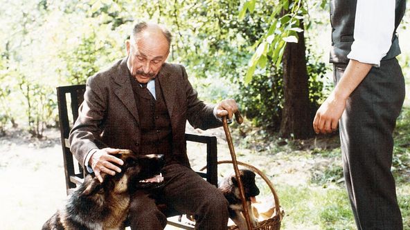 Dobrodružství kriminalistiky