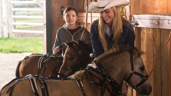 Ranč Heartland VI (8)