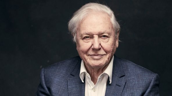 Zázračná planeta II (6)