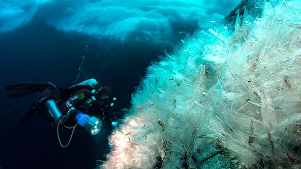Tajemství Antarktidy