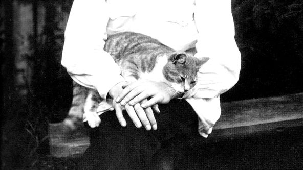 Šostakovič geniální