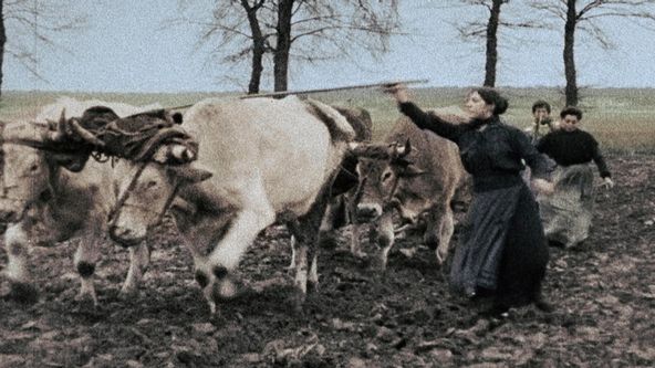 Apokalypsa: 1. světová válka (2/5)